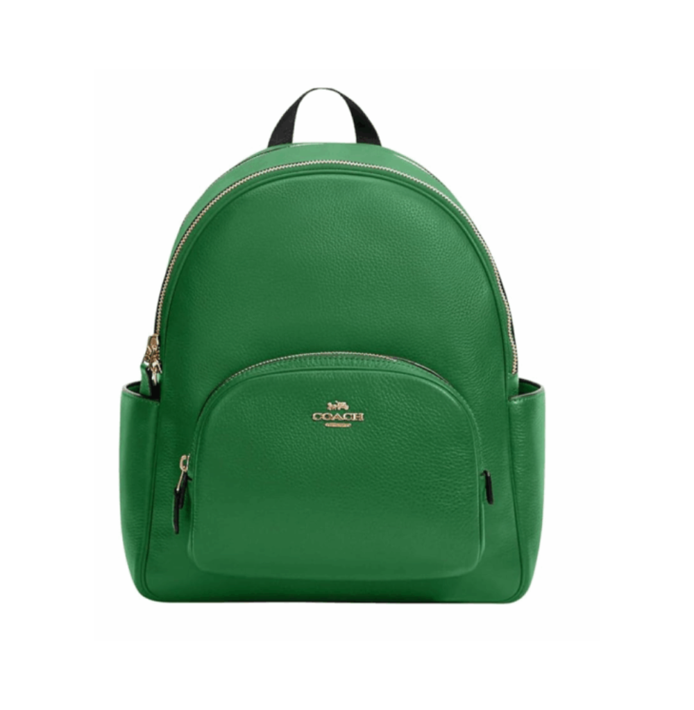 Coach Charter Backpack 24 In Signature Leather Green